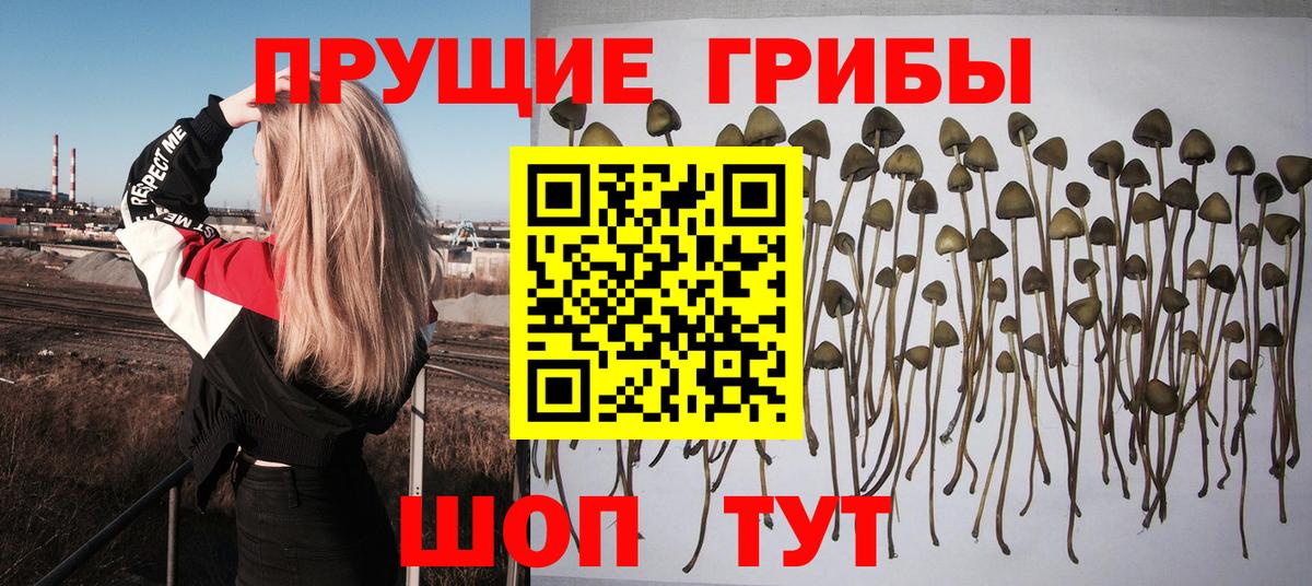 Ступино  Псилоцибиновые грибы мухоморы  Вход с VPN  цены наркотик  Псилоцибиновые грибы мицелий 